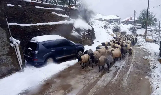 Giresun'da kar yağışı nedeniyle mahsur kalan çobanlar kurtarıldı