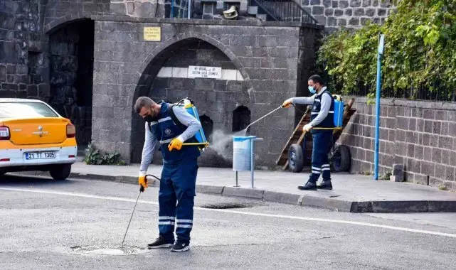 Haşerelere karşı ilaçlama çalışmaları sürüyor