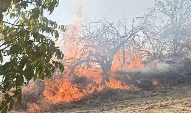 Bozdağ'da 1 ayda 7 ayrı yerde yangın çıktı