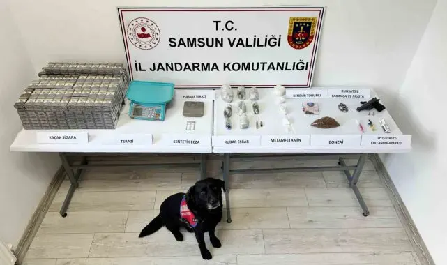 Samsun'da jandarma ekipleri çok sayıda uyuşturucu madde ele geçirdi