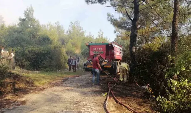 Osmaniye'de orman yangını başladı