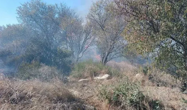 İtfaiyeciden yangının içinde kalan kaplumbağaya can suyu