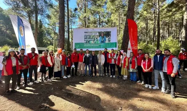 Osmaniye'de ormanlık alanlar temizlendi